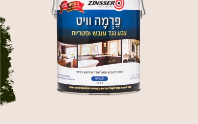 עובש בקירות – איך מנקים עובש בצורה טובה?
